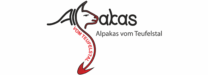 Alpakas vom Teufelstal